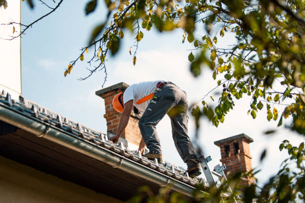 Best Tile Roofing Contractor  in Longbranch, WA