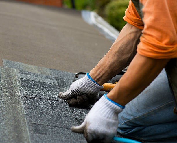 Best Local Roofing Companies  in Longbranch, WA
