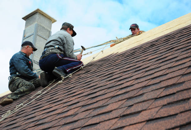 Quick and Trustworthy Emergency Roof Repair Services in Longbranch, WA